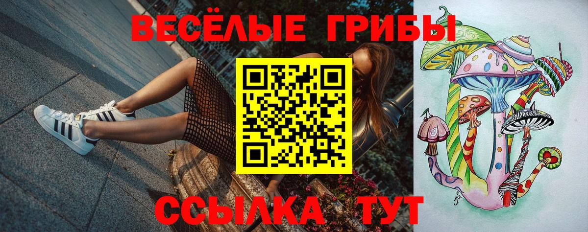 Псилоцибиновые грибы ЛСД Златоуст