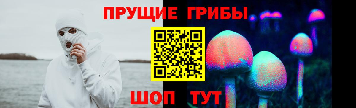 Златоуст  цена   Вход с VPN  Псилоцибиновые грибы Psilocybine cubensis 